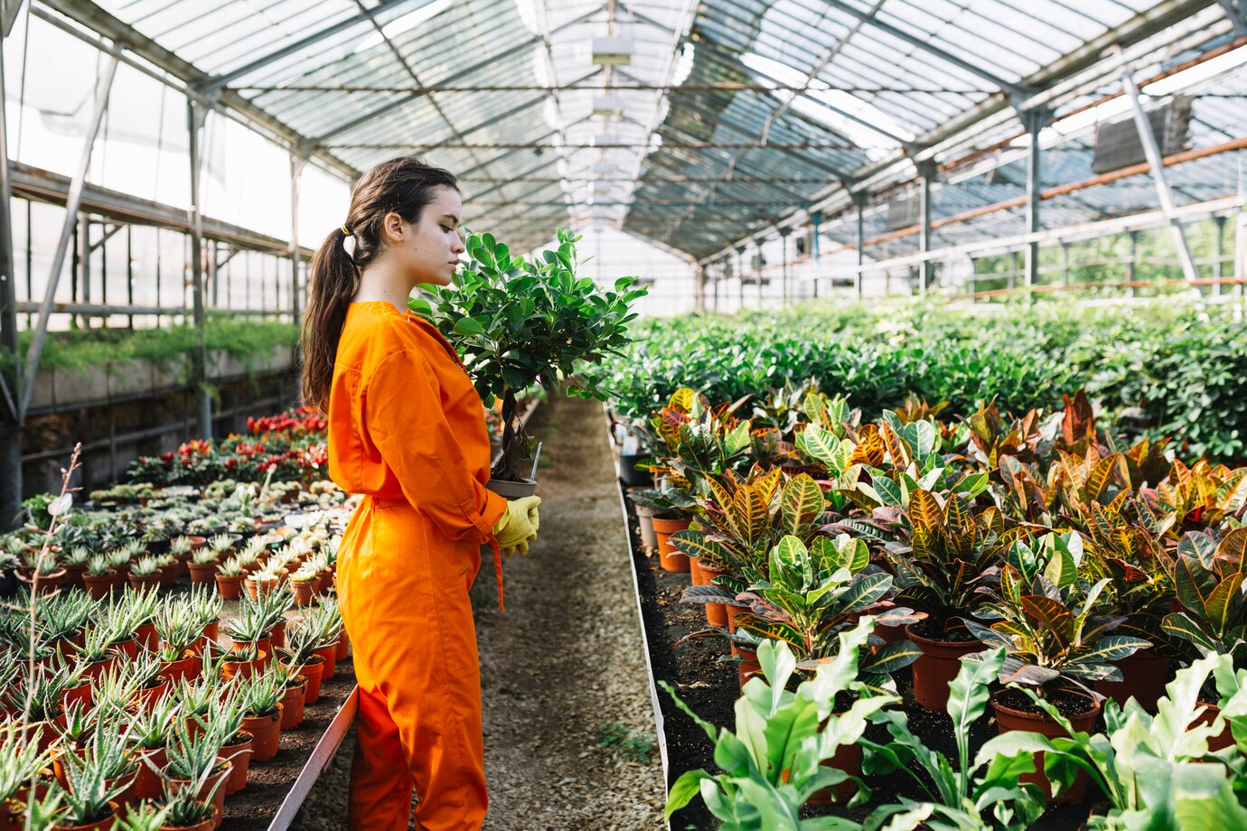 Farmer (Facility Horticulture)